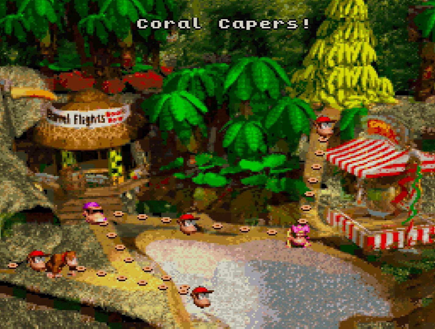 Donkey Kong Country