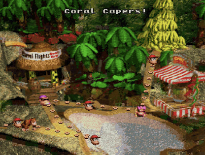 Donkey Kong Country